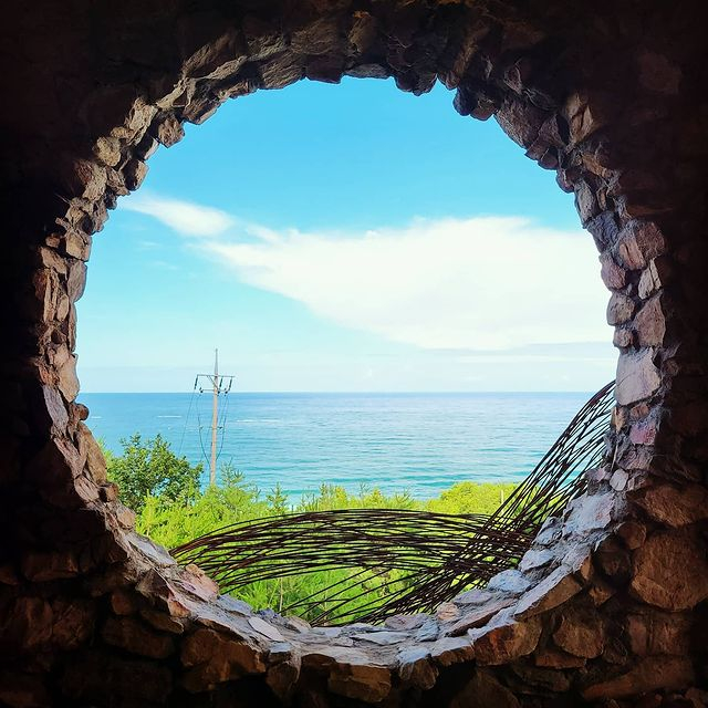 @haslla_art