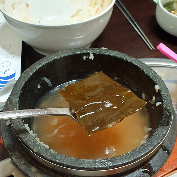 담쟁이
