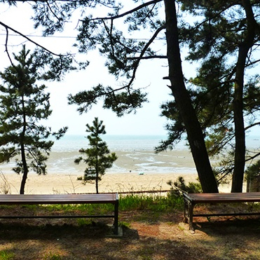 장항송림산림욕장