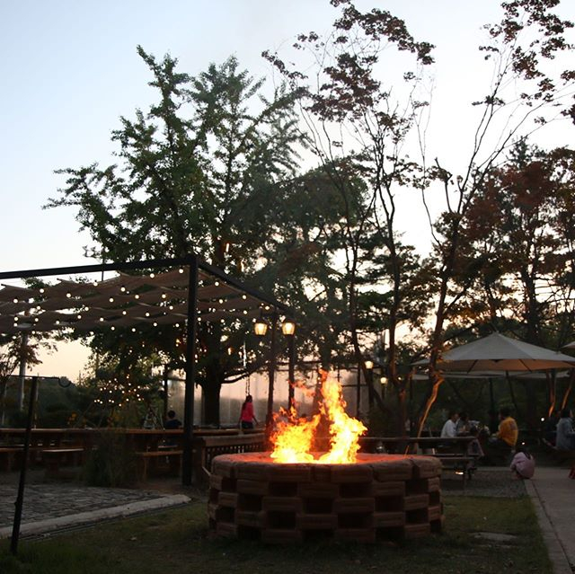 @forest_grill_cafe