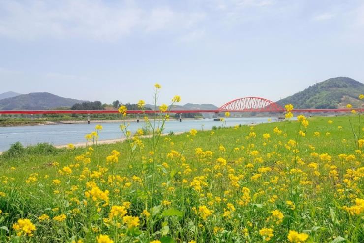 ⓒ광양 공식블로그