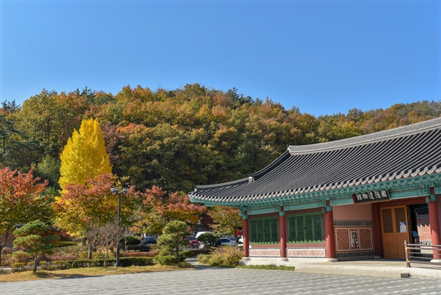 ⓒ영천시 공식 블로그