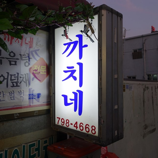 블로거 @puravida