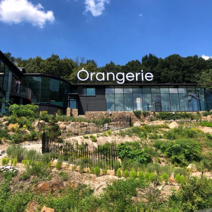 @orangerie.cafe