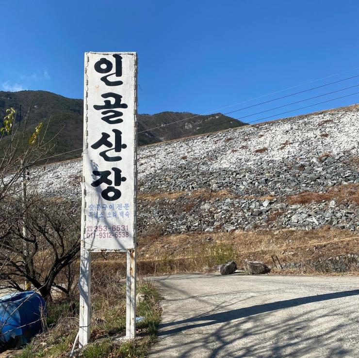인골산장 @jinkkalee