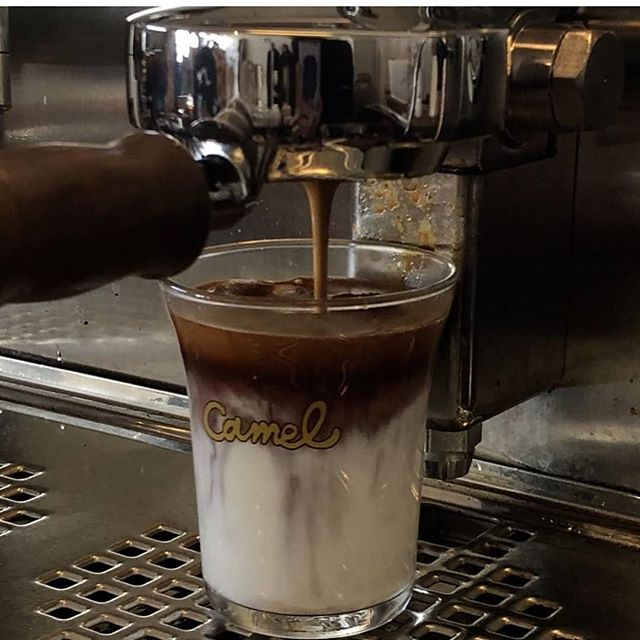 @camel__cafe