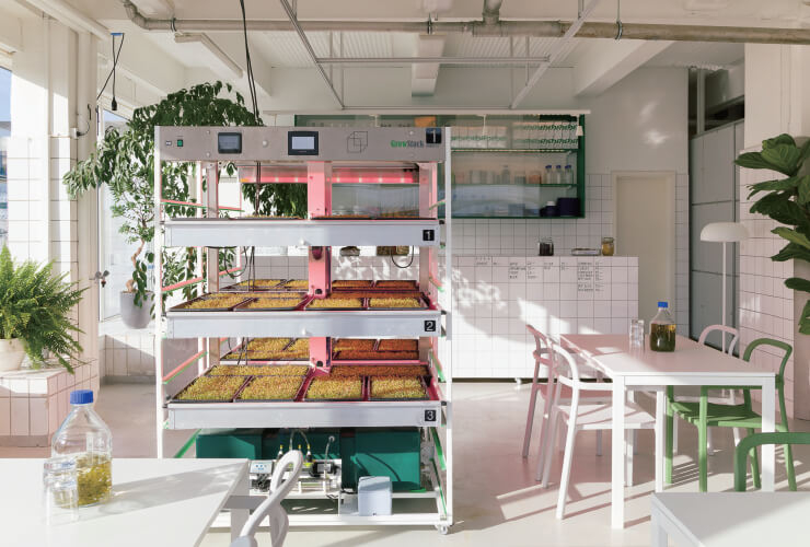 스페이스10의 ‘작은 농장’은 실외 정원에 비해 물 사용을 줄이기 위해 실내의 조명 아래에서 수경 재배로 채소를 키우는 연구를 진행한다.