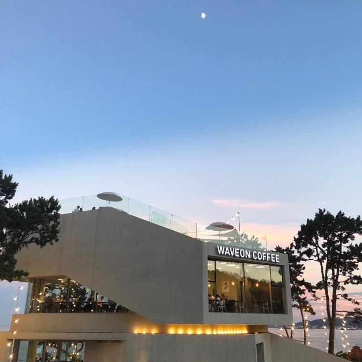 @waveoncoffee_official
