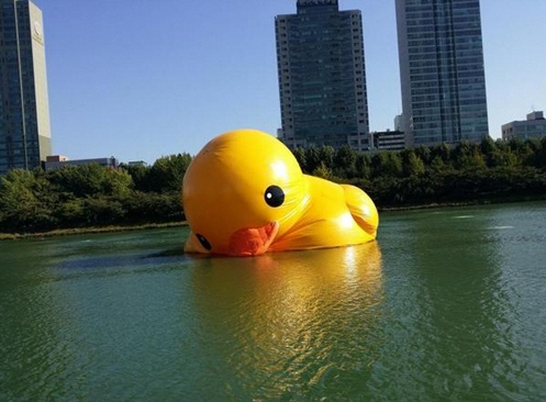 @rubberduckproject