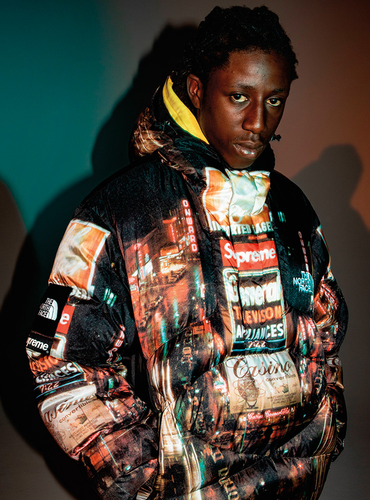 THE NORTH FACE x Supreme