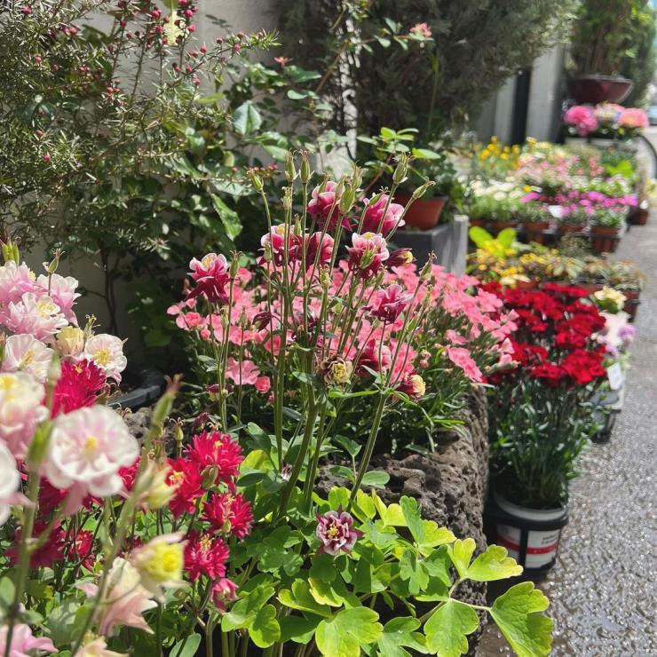 @mothersgarden_seoul