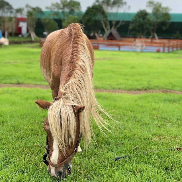 @heyyo_farm_jeju