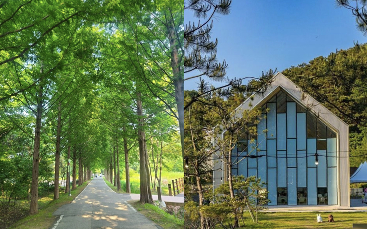 경기도 오산 가볼 만한 곳 4