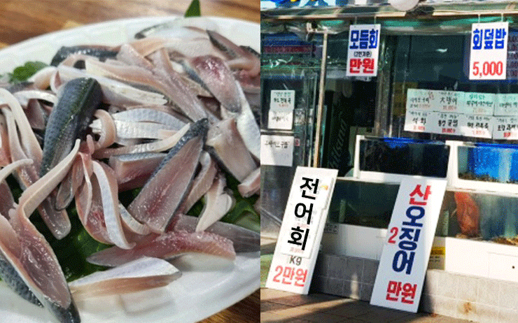 한 접시 2만원? 전어 가성비 맛집 4
